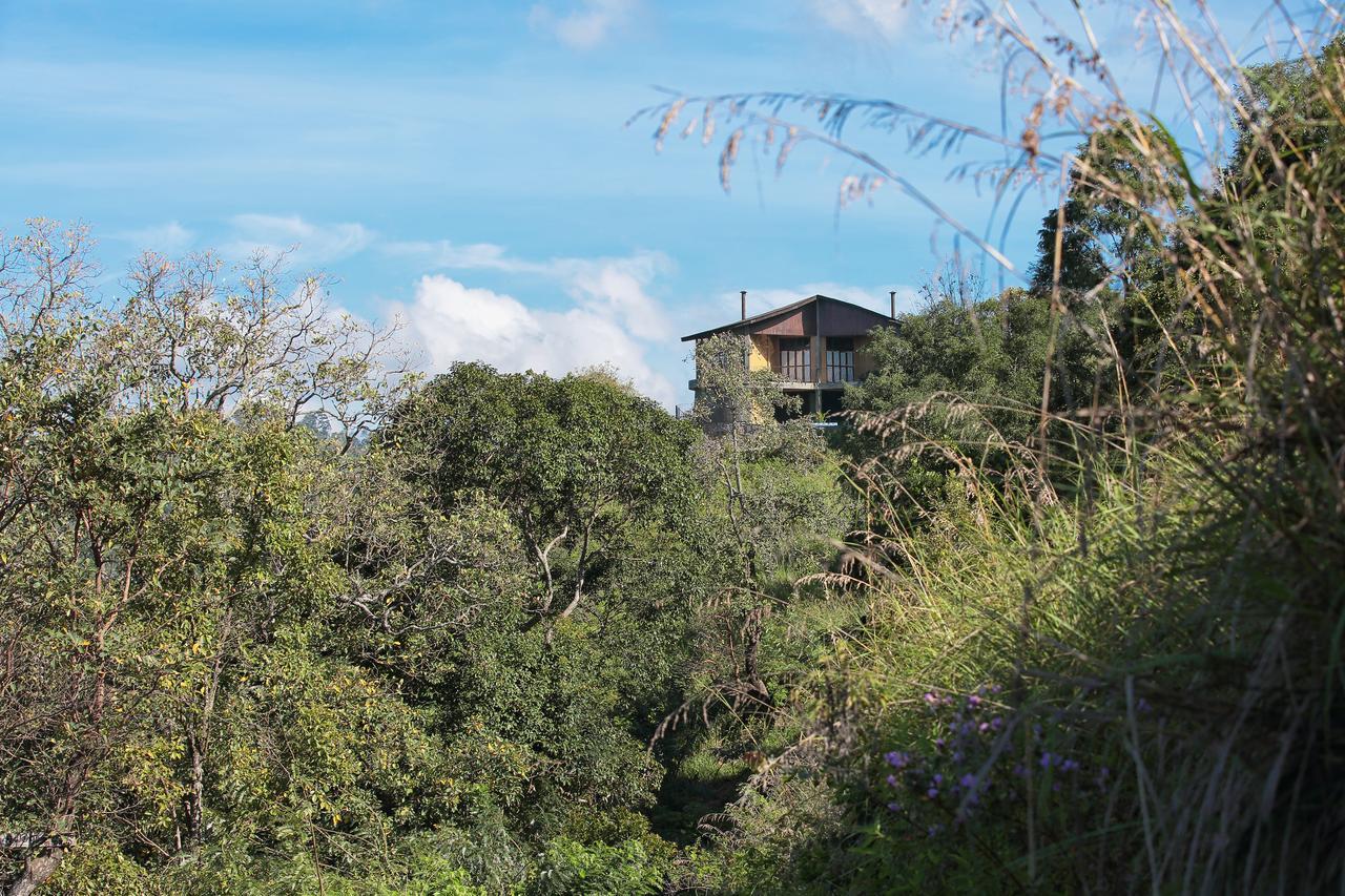 Villa Verde אלה מראה חיצוני תמונה