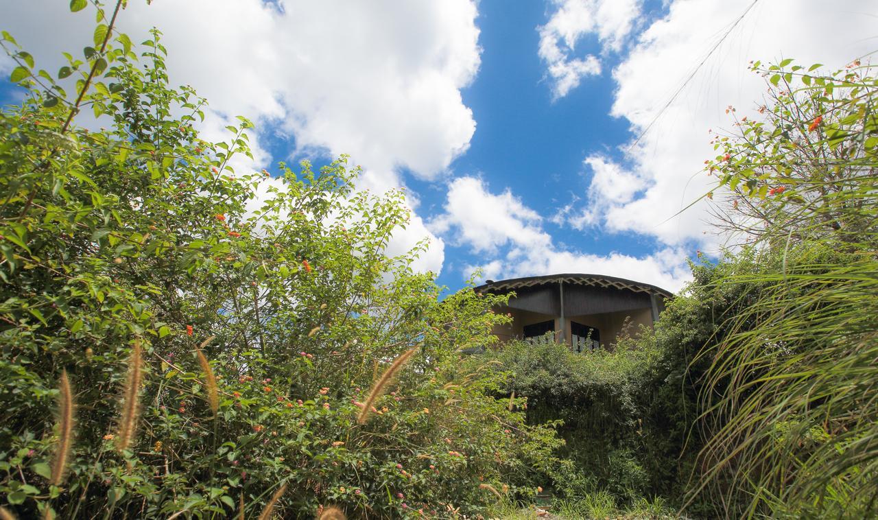 Villa Verde אלה מראה חיצוני תמונה